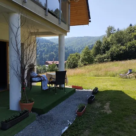 Elff -Apartamenty I Pokoje Goscinne Cisna Exterior photo