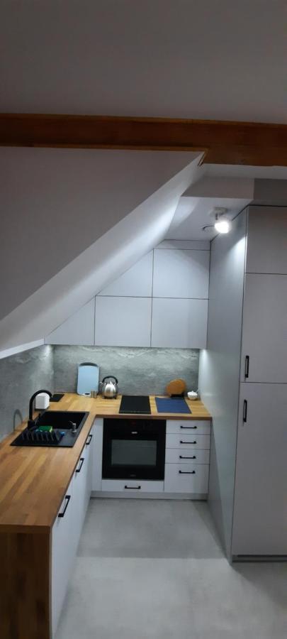 Elff -apartamenty I Goscinne Homestay Cisna
